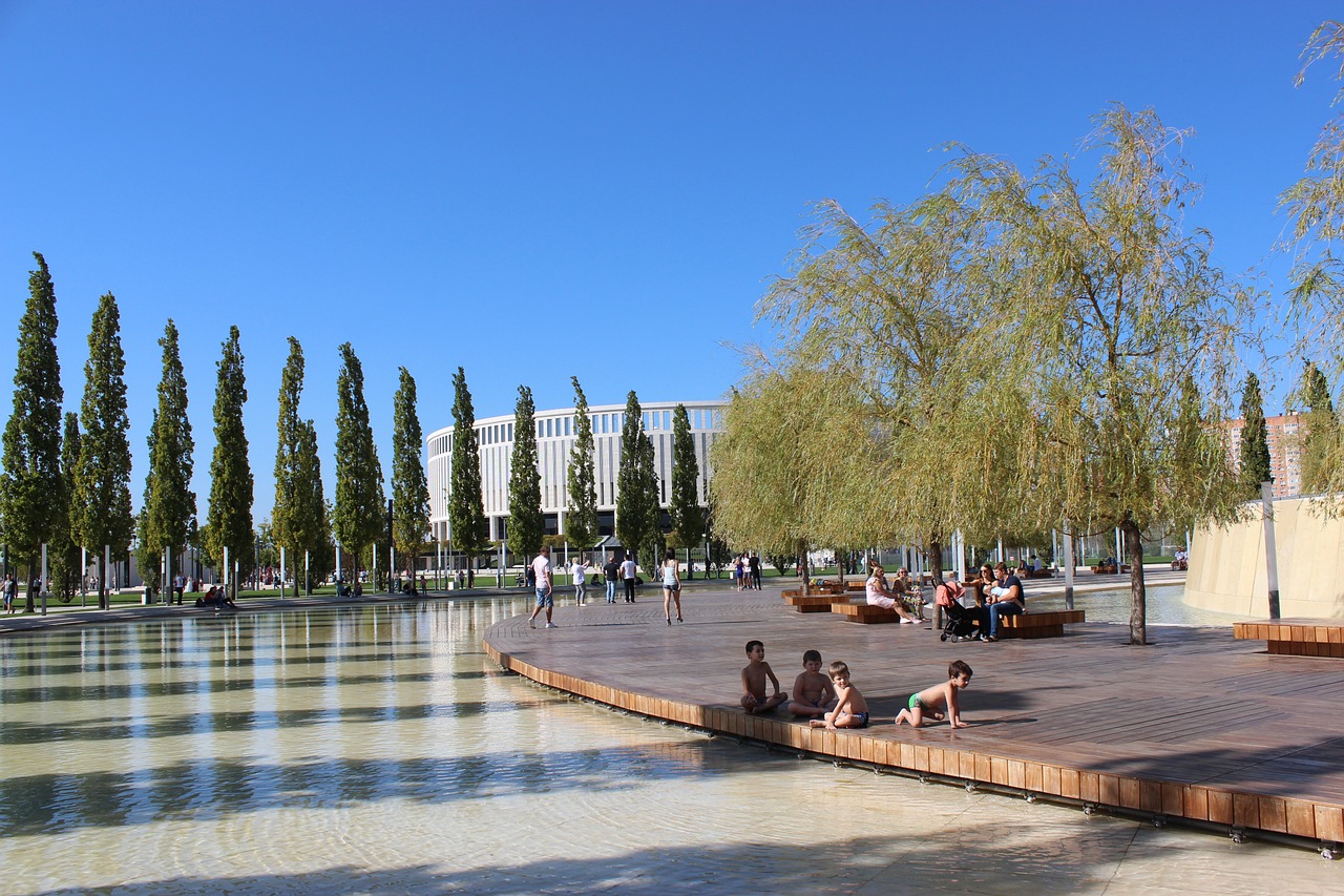 个中国羽毛 个中国羽毛