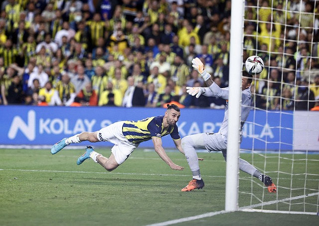 全家移民 全家移民