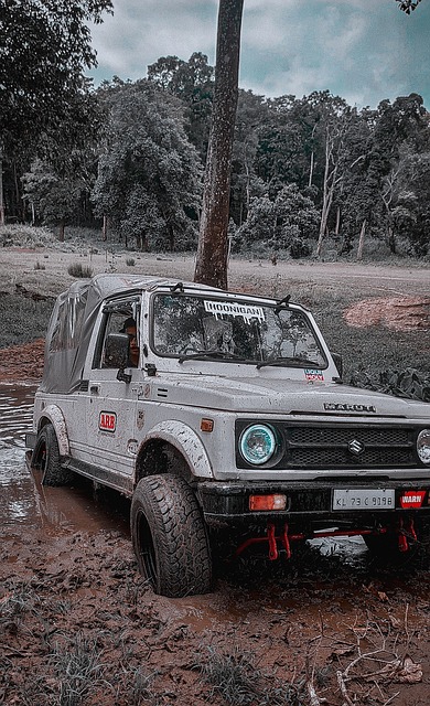 馬特烏斯的 馬特烏斯的