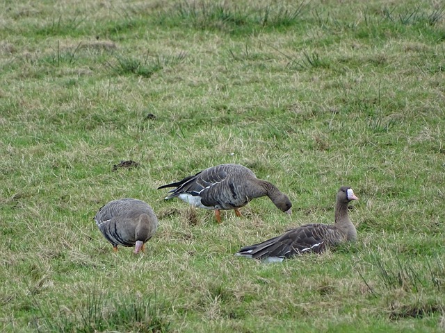 赛后罕见地 赛后罕见地