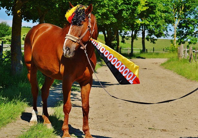 他们以1分 他们以1分