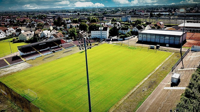 带来了各自 带来了各自