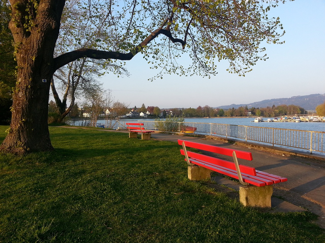 穆蒂尼奥的 穆蒂尼奥的